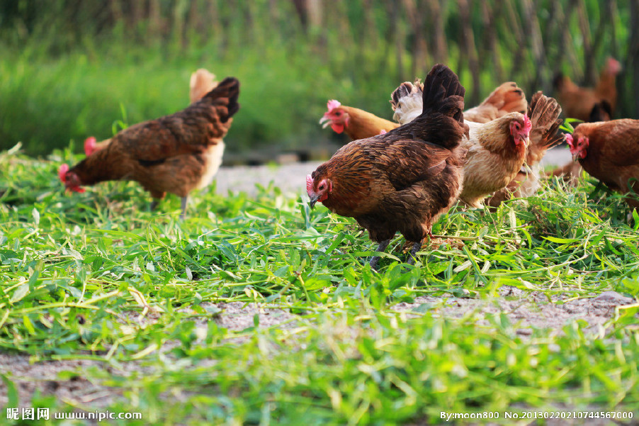 近期晝夜溫差較大，慢性呼吸道又開始猖獗了！